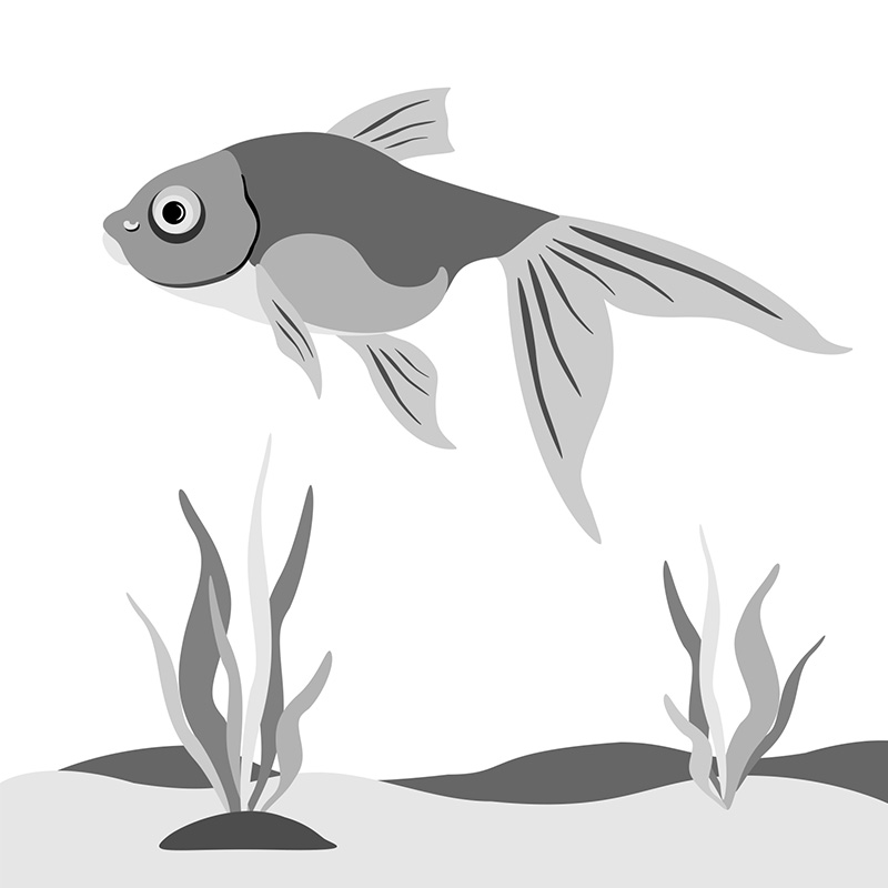 Goldfish illustration depicted in full range value.